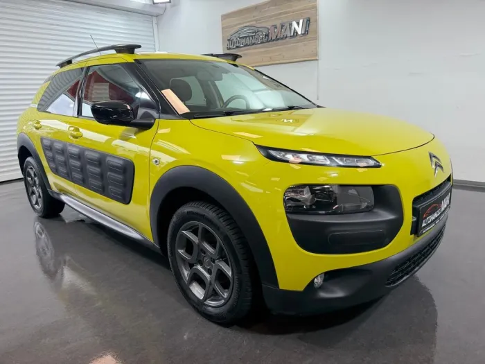 Citroën C4 Cactus Selection/Kamera/PDC/