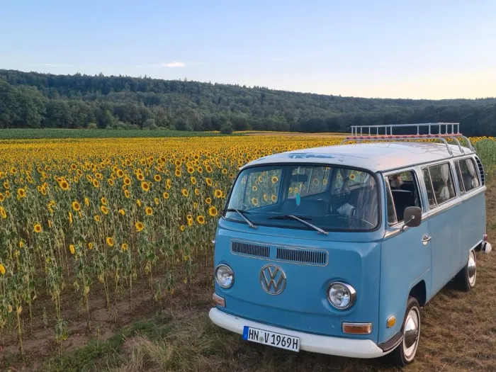 Volkswagen VW Bus T2 T2 Volkswagen BJ 1970 Original Bulli