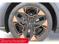 Cupra Raval ENDURANCE 19 NAVI MATRIX SENNH. 5J.-GARANT