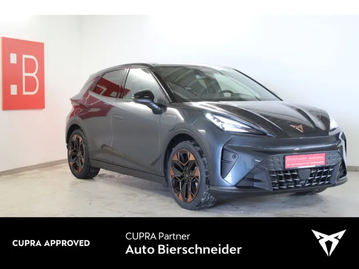 Cupra Raval ENDURANCE 19 NAVI MATRIX SENNH. 5J.-GARANT