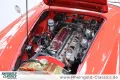 Austin Healey 3000 BT7 2+2 sehr guter Zustand