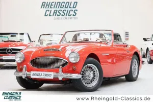 Austin Healey 3000 BT7 2+2 sehr guter Zustand