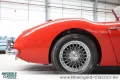 Austin Healey 3000 BT7 2+2 sehr guter Zustand