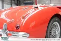 Austin Healey 3000 BT7 2+2 sehr guter Zustand