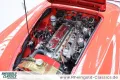 Austin Healey 3000 BT7 2+2 sehr guter Zustand