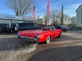 Ford Thunderbird Cabrio 6.4l V8 300 PS H-Zulassung