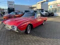 Ford Thunderbird Cabrio 6.4l V8 300 PS H-Zulassung