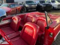 Ford Thunderbird Cabrio 6.4l V8 300 PS H-Zulassung