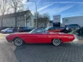 Ford Thunderbird Cabrio 6.4l V8 300 PS H-Zulassung