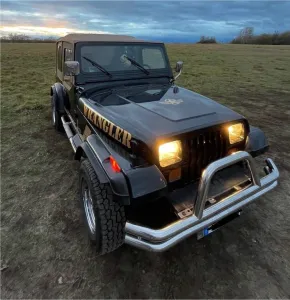 Jeep Wrangler  YJ 2,5 l