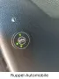 Chrysler Pacifica V6 3,6 Leder LED 7-Sitzer LPG-GAS R-CAM