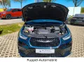Chrysler Pacifica V6 3,6 Leder LED 7-Sitzer LPG-GAS R-CAM