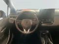 Suzuki Swace