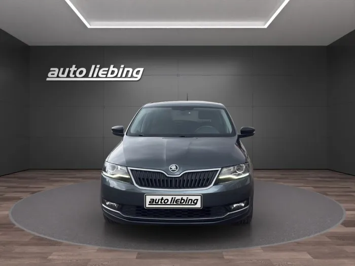 Skoda Rapid Spaceback Style*Smart L.*8-fach*top
