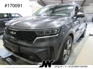 Kia Sorento Spirit 4WD PHEV-ACC-360°-Keyl.-Bose-19