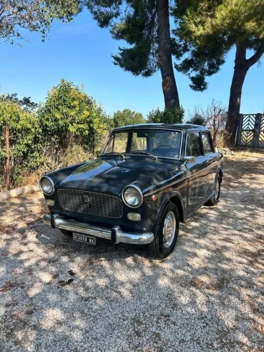 Fiat 126 1100 d 1964