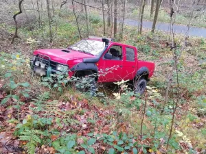 Nissan Pickup MD 21
