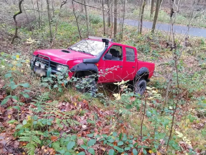 Nissan Pickup MD 21