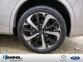 Mazda CX-60 e-SKYACTIV-D 254 Takumi MATRIX-LED 360°