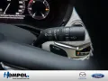 Mazda CX-60 e-SKYACTIV-D 254 Takumi MATRIX-LED 360°