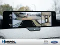 Mazda CX-60 e-SKYACTIV-D 254 Takumi MATRIX-LED 360°