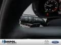 Mazda CX-60 e-SKYACTIV-D 254 Takumi MATRIX-LED 360°