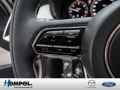Mazda CX-60 e-SKYACTIV-D 254 Takumi MATRIX-LED 360°
