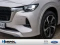 Mazda CX-60 e-SKYACTIV-D 254 Takumi MATRIX-LED 360°