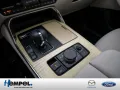 Mazda CX-60 e-SKYACTIV-D 254 Takumi MATRIX-LED 360°