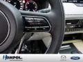 Mazda CX-60 e-SKYACTIV-D 254 Takumi MATRIX-LED 360°
