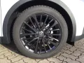 Toyota C-HR 1.8 Hybrid Team Deutschland ACC RFK SHZ LHZ