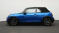 MINI Classic Trim