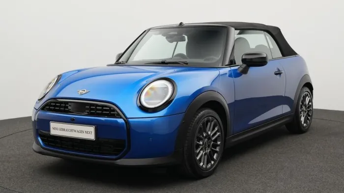 MINI Classic Trim