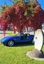 BMW Z1 in Pure blau