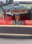 Fiat 124 Spider 2000
