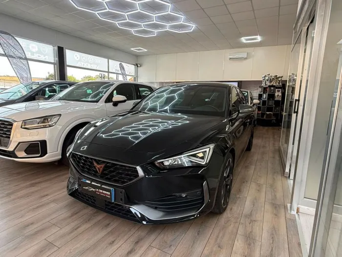 Other Cupra Leon 2.0 TDI 150 CV DSG