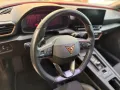 Other Cupra Leon 2.0 TDI 150 CV DSG