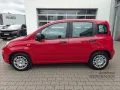 Fiat Pandina Hybrid Icon PDC+Bluetooth+Klimaanlage+Mü