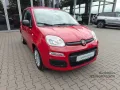 Fiat Pandina Hybrid Icon PDC+Bluetooth+Klimaanlage+Mü