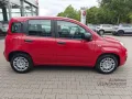 Fiat Pandina Hybrid Icon PDC+Bluetooth+Klimaanlage+Mü