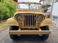 Jeep Willys M38A1 - Zum zärtlichen Wachküssen