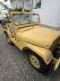 Jeep Willys M38A1 - Zum zärtlichen Wachküssen