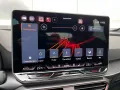 Cupra Formentor 1.5 eTSI DSG PANO AHK 19