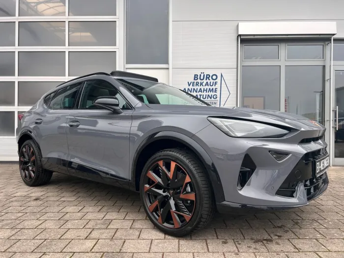 Cupra Formentor 1.5 eTSI DSG PANO AHK 19