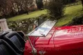 Jaguar Other Jaguar Steadman TS 100