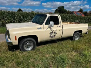 Chevrolet Pickup C 20 V8