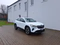Renault Austral Mild-Hybr. 160 Evolution SHZ, GJ-Reifen
