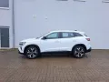 Renault Austral Mild-Hybr. 160 Evolution SHZ, GJ-Reifen