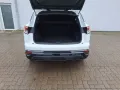 Renault Austral Mild-Hybr. 160 Evolution SHZ, GJ-Reifen
