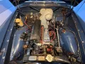 Volvo Amazon